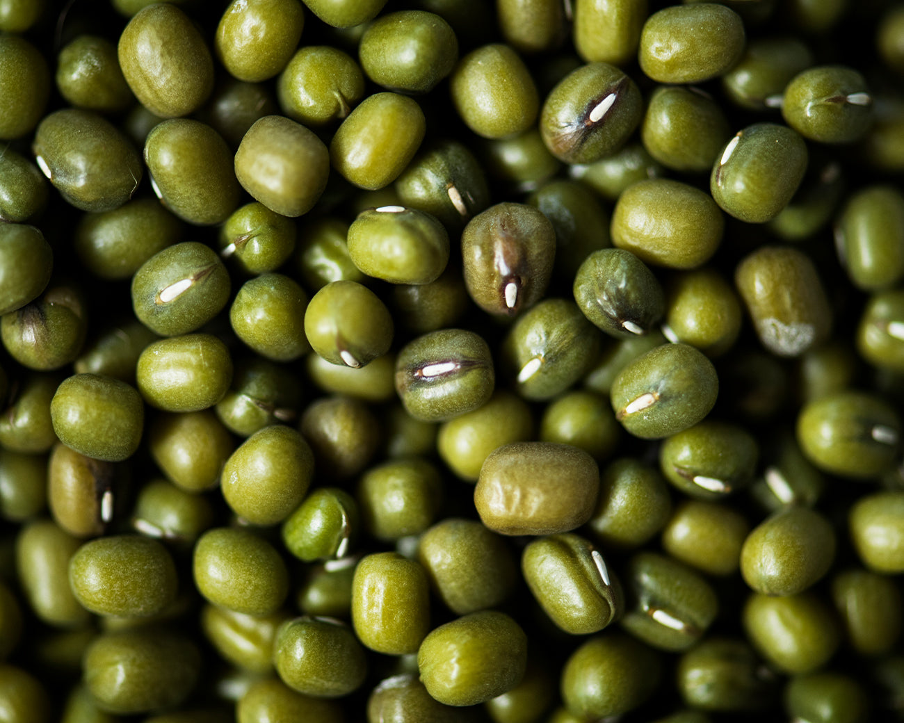 Bio Olivenöl